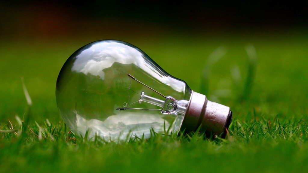 light bulb, grass, bulb